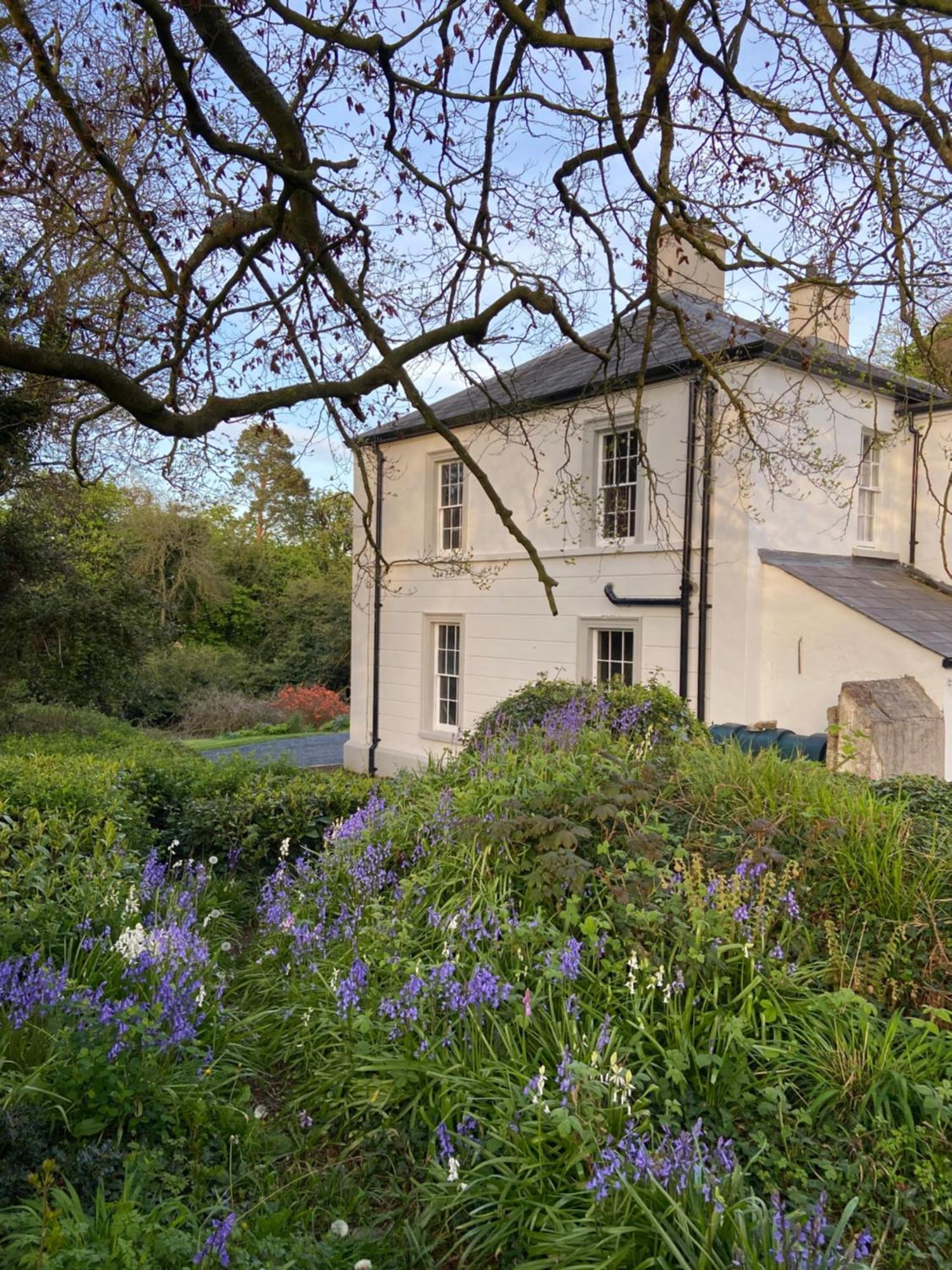 Ashville Georgian House Killinchy Екстер'єр фото
